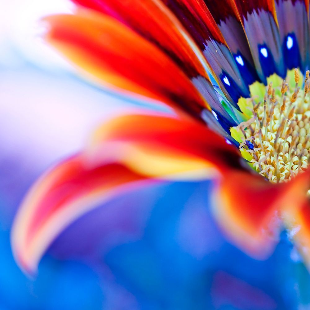 Meet your Posher, Robin